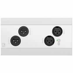 Audac NWP222 - Omrežni vhodni in izhodni panel - 2 x XLR vhod in izhod + BT (4 x 2 kanala)