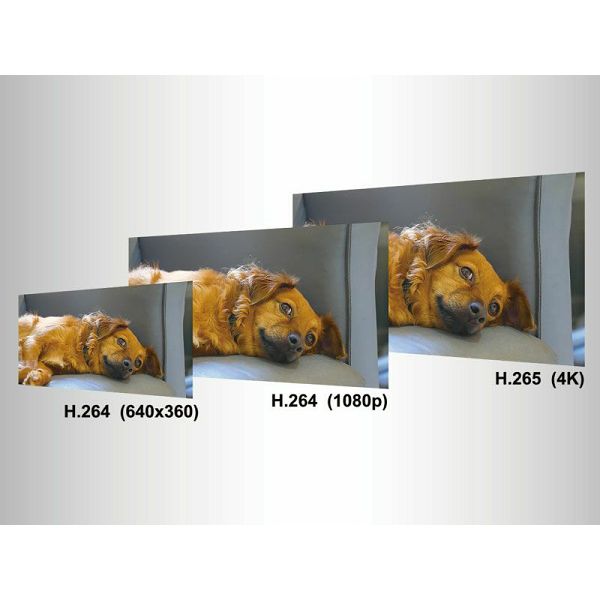 Lumens 4K kamera, IP PTZ